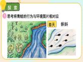 1.5《當(dāng)環(huán)境改變了》課件（送教案）