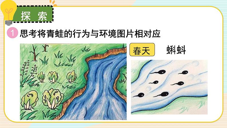 1.5《当环境改变了》课件（送教案）03