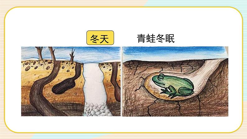 1.5《当环境改变了》课件（送教案）06