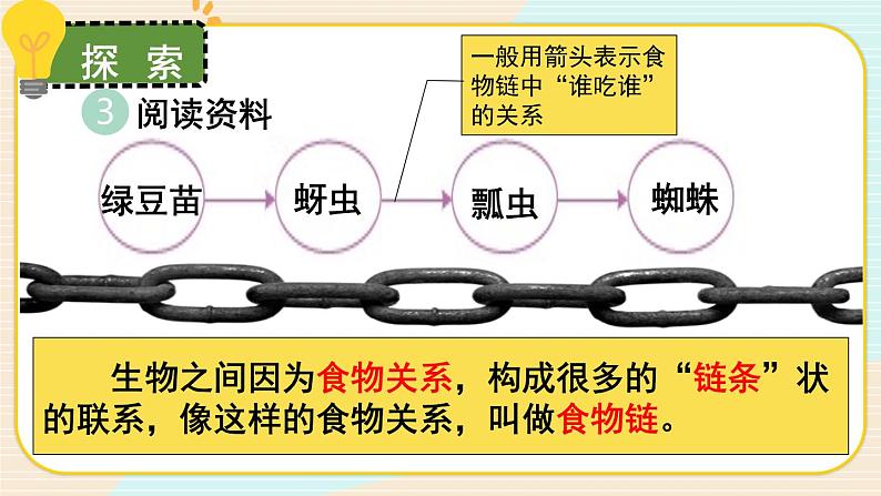 第6课 食物链和食物网第7页