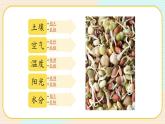1.2《比较种子发芽实验》课件+素材（送教案）