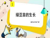 1.3《绿豆苗的生长》课件+素材（送教案）