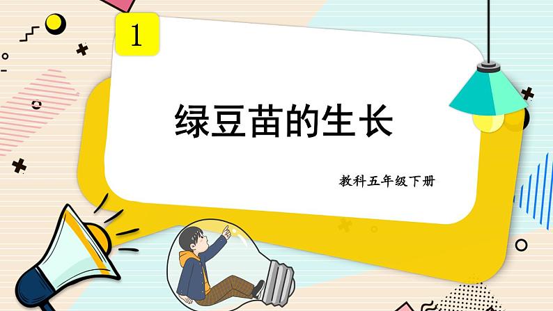 1.3《绿豆苗的生长》课件+素材（送教案）01
