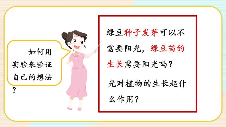 1.3《绿豆苗的生长》课件+素材（送教案）04