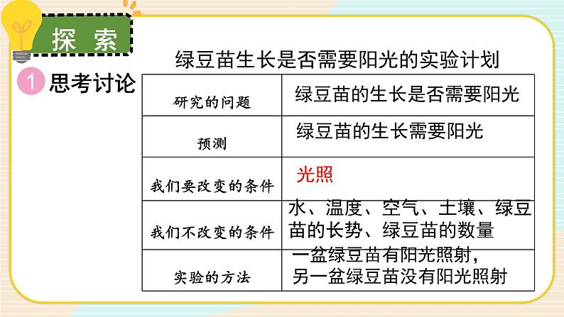 1.3《绿豆苗的生长》课件+素材（送教案）05