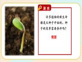 1.1《種子發(fā)芽實(shí)驗(yàn)》課件+素材（送教案）