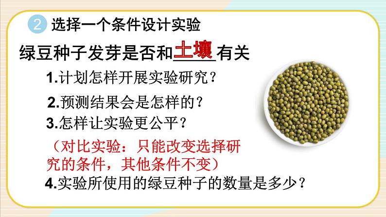 1.1《种子发芽实验》课件+素材（送教案）07