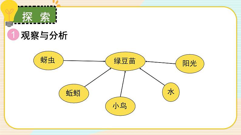 1.7《设计和制作生态瓶》课件+素材（送教案）04