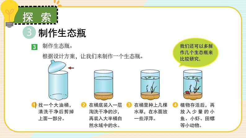 1.7《设计和制作生态瓶》课件+素材（送教案）07