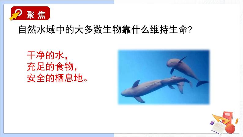 3.7《分析一个实际的环境问题》课件（送教案）02