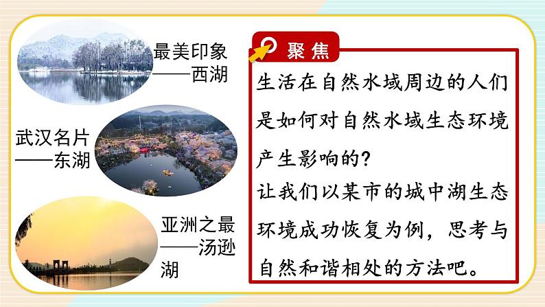 3.7《分析一个实际的环境问题》课件（送教案）03