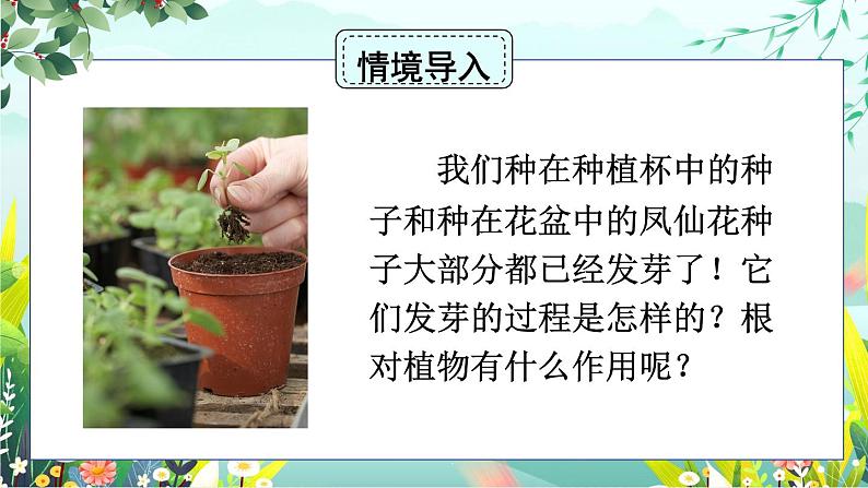 1.3《种子长出了根》课件+素材（送教案）02