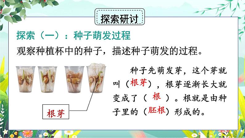 1.3《种子长出了根》课件+素材（送教案）03