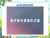 1.3《种子长出了根》课件+素材（送教案）