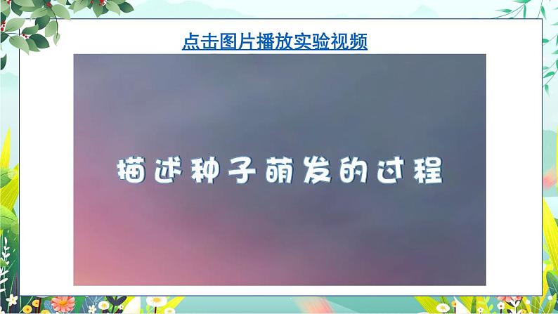 1.3《种子长出了根》课件+素材（送教案）05