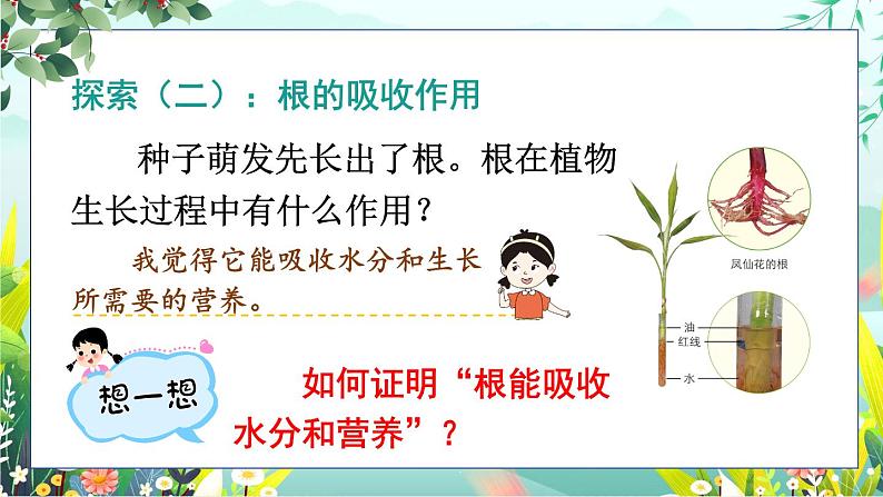 1.3《种子长出了根》课件+素材（送教案）06