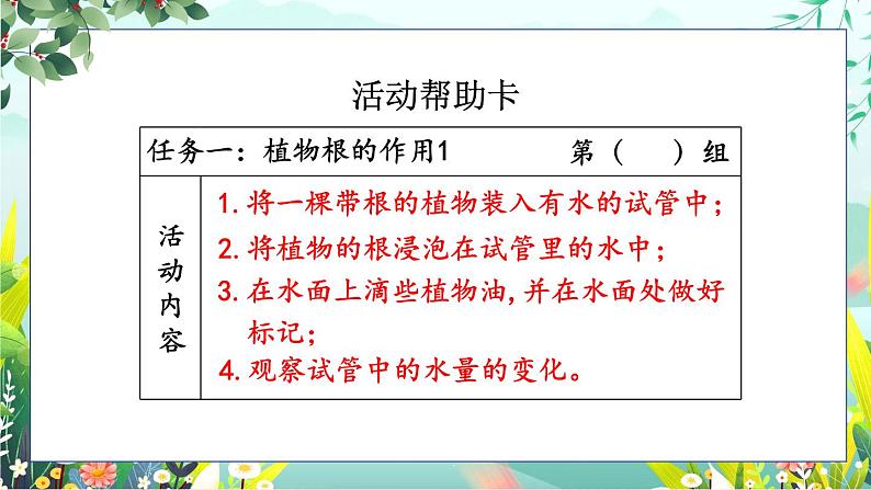 1.3《种子长出了根》课件+素材（送教案）07
