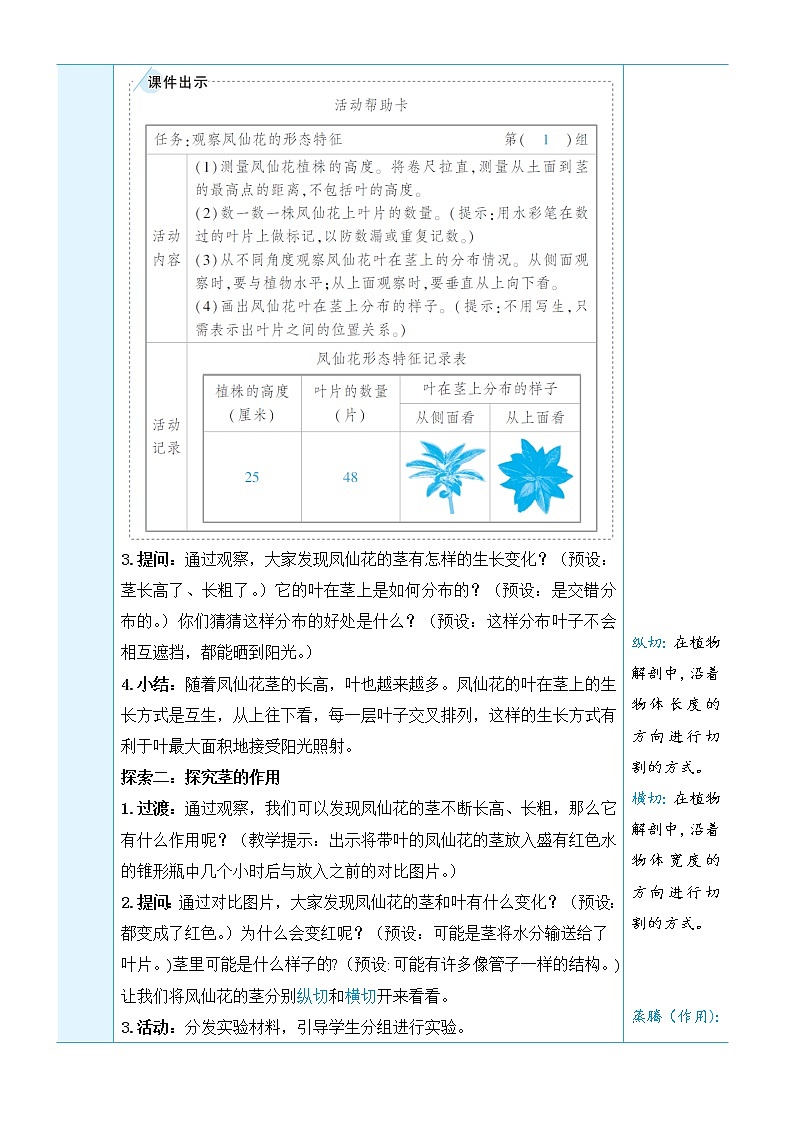 第4课 茎和叶第3页