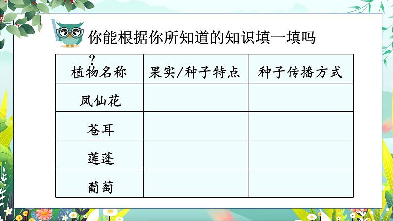 1.7《种子的传播》课件+素材（送教案）04