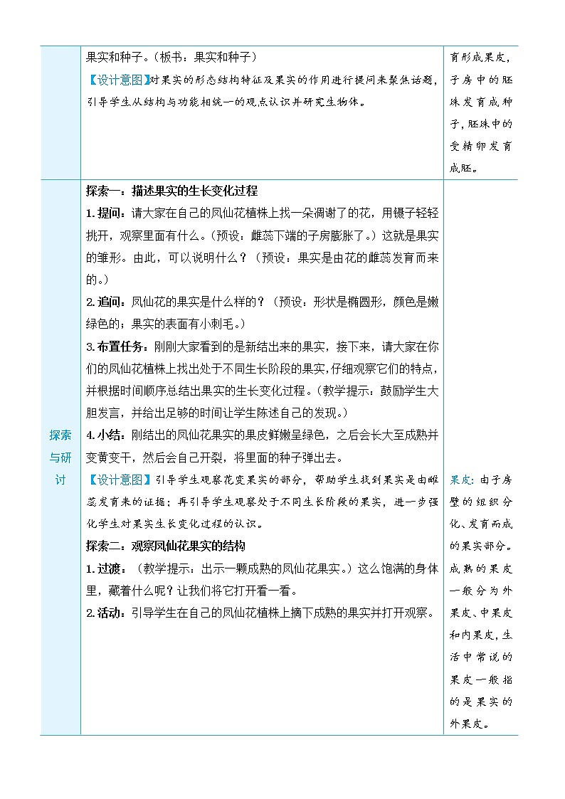 1.6《果实和种子》课件+素材（送教案）02