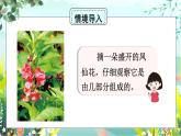 1.5《凤仙花开花了》课件+素材（送教案）