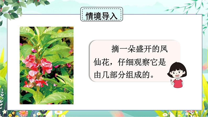 1.5《凤仙花开花了》课件+素材（送教案）03