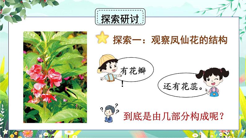 1.5《凤仙花开花了》课件+素材（送教案）04