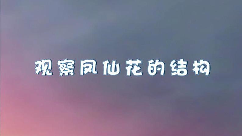 1.5《凤仙花开花了》课件+素材（送教案）06