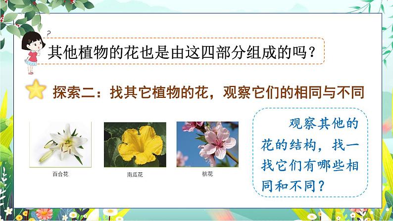 1.5《凤仙花开花了》课件+素材（送教案）08
