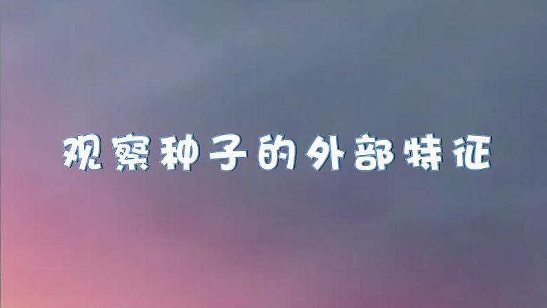 第1课 种子里孕育着新生命第6页