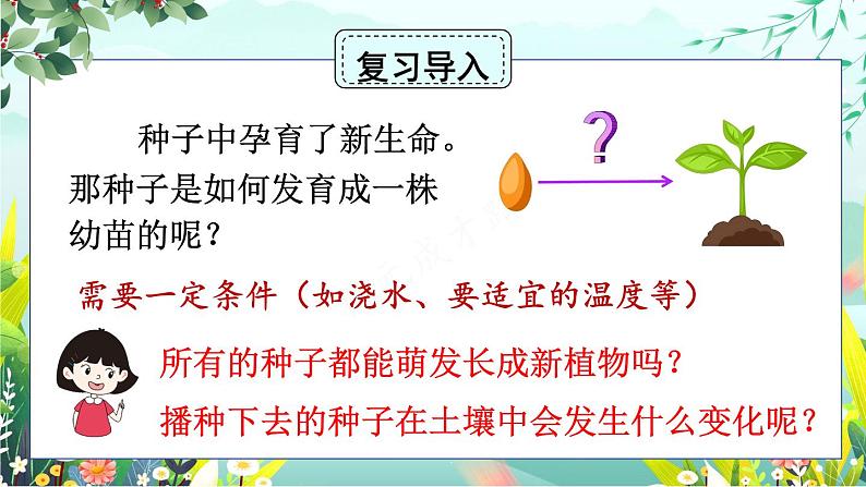 新教科版科学四下 第2课 种植凤仙花 PPT课件+教案+视频素材02