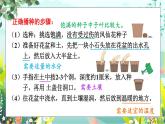 新教科版科学四下 第2课 种植凤仙花 PPT课件+教案+视频素材