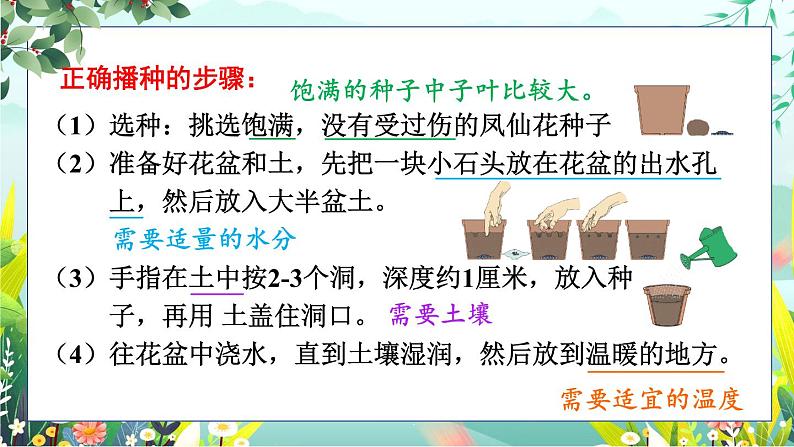 新教科版科学四下 第2课 种植凤仙花 PPT课件+教案+视频素材05