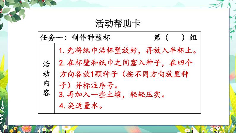 新教科版科学四下 第2课 种植凤仙花 PPT课件+教案+视频素材08