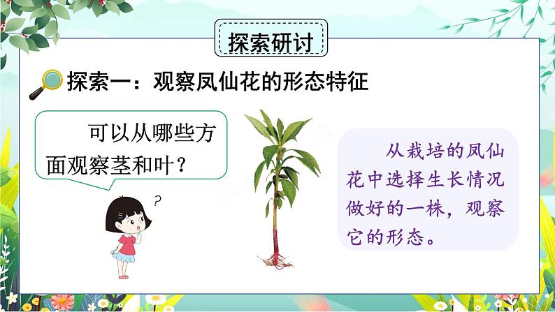 新教科版科学四下 第4课 茎和叶 PPT课件+教案+视频素材04