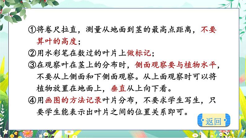 新教科版科学四下 第4课 茎和叶 PPT课件+教案+视频素材06