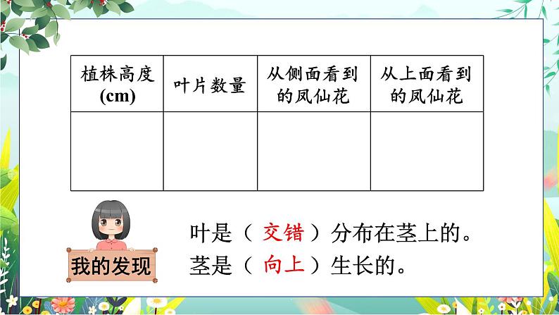 新教科版科学四下 第4课 茎和叶 PPT课件+教案+视频素材07