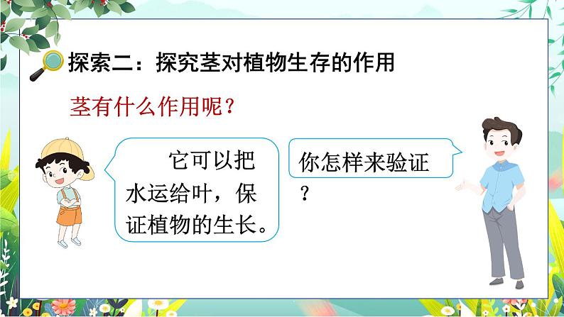 新教科版科学四下 第4课 茎和叶 PPT课件+教案+视频素材08