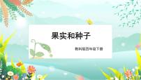 教科版 (2017)四年级下册6.果实和种子课前预习ppt课件