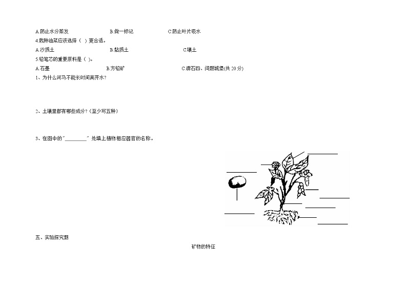 2021-2022学年教科版科学三年级上册期中综合评价（试题）-（含答案）第2页