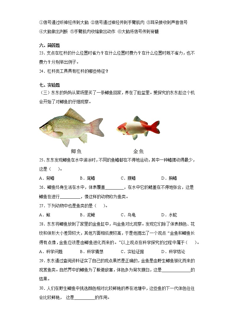 粤教版六年级上册科学期末检测卷（含答案）第3页