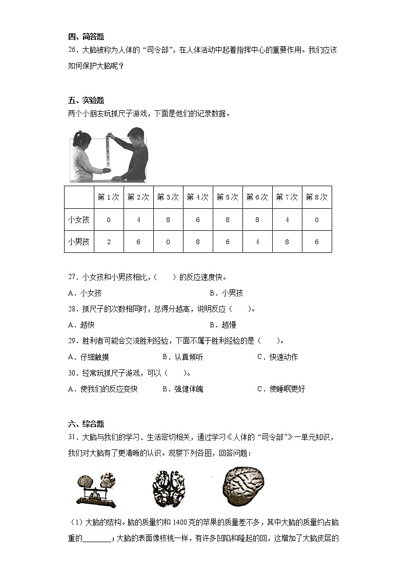 粤教版六年级上册科学第三单元人体“司令部”检测题（含答案）第3页