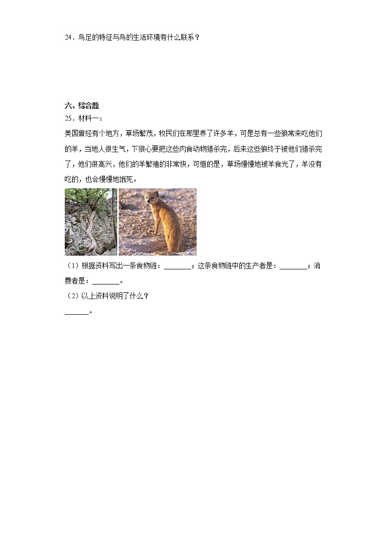 粤教版六年级下册科学第三单元动物与环境检测卷（含答案）第3页