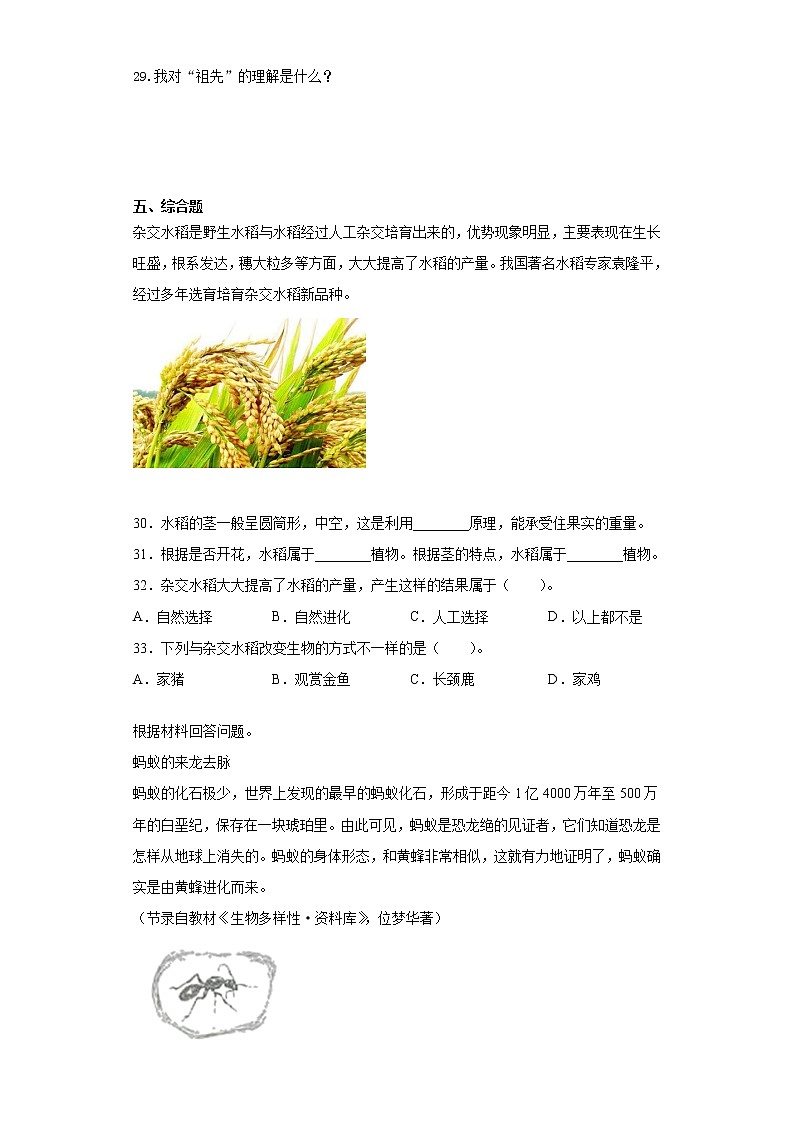 粤教版六年级上册科学第四单元遗传与进化检测卷（含答案）03