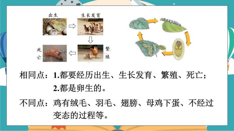 2021学年8动物的一生优秀课件ppt
