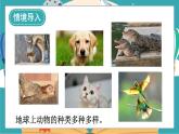 2.7《動(dòng)物的繁殖》課件+教案+素材