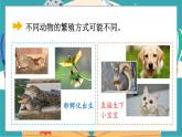 2.7《動(dòng)物的繁殖》課件+教案+素材