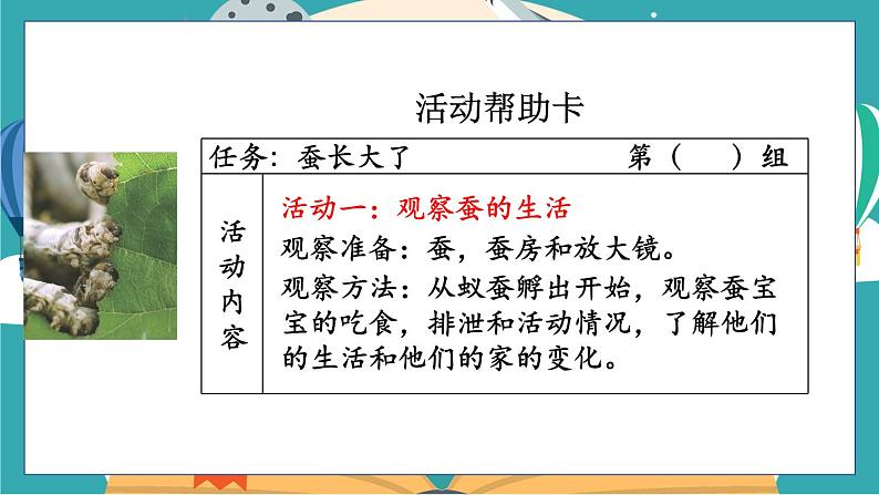 2.3《蚕长大了》课件+教案+素材06