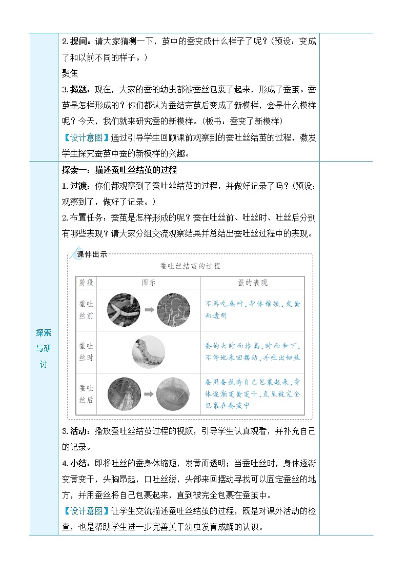 2.4《蚕变了新模样》课件+教案+素材02