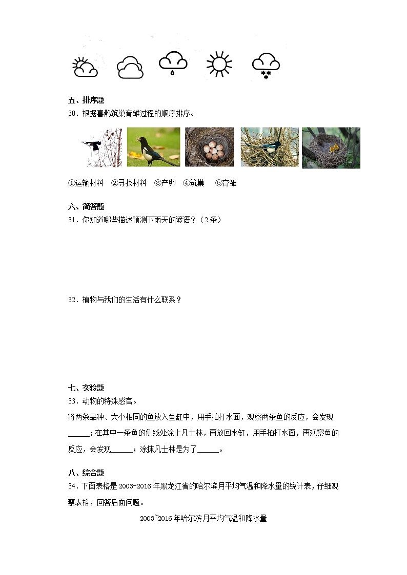 冀人版三年级下册科学期末检测试卷（附答案）第3页